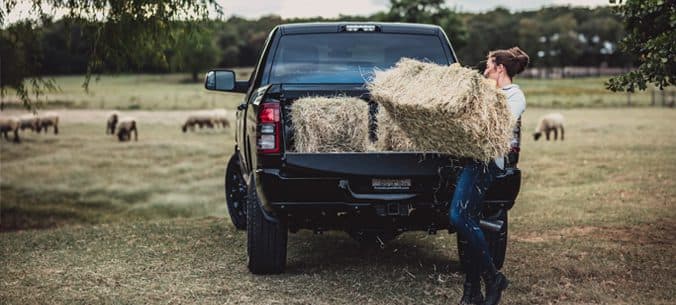 Pickup truck with protected bed carrying hay