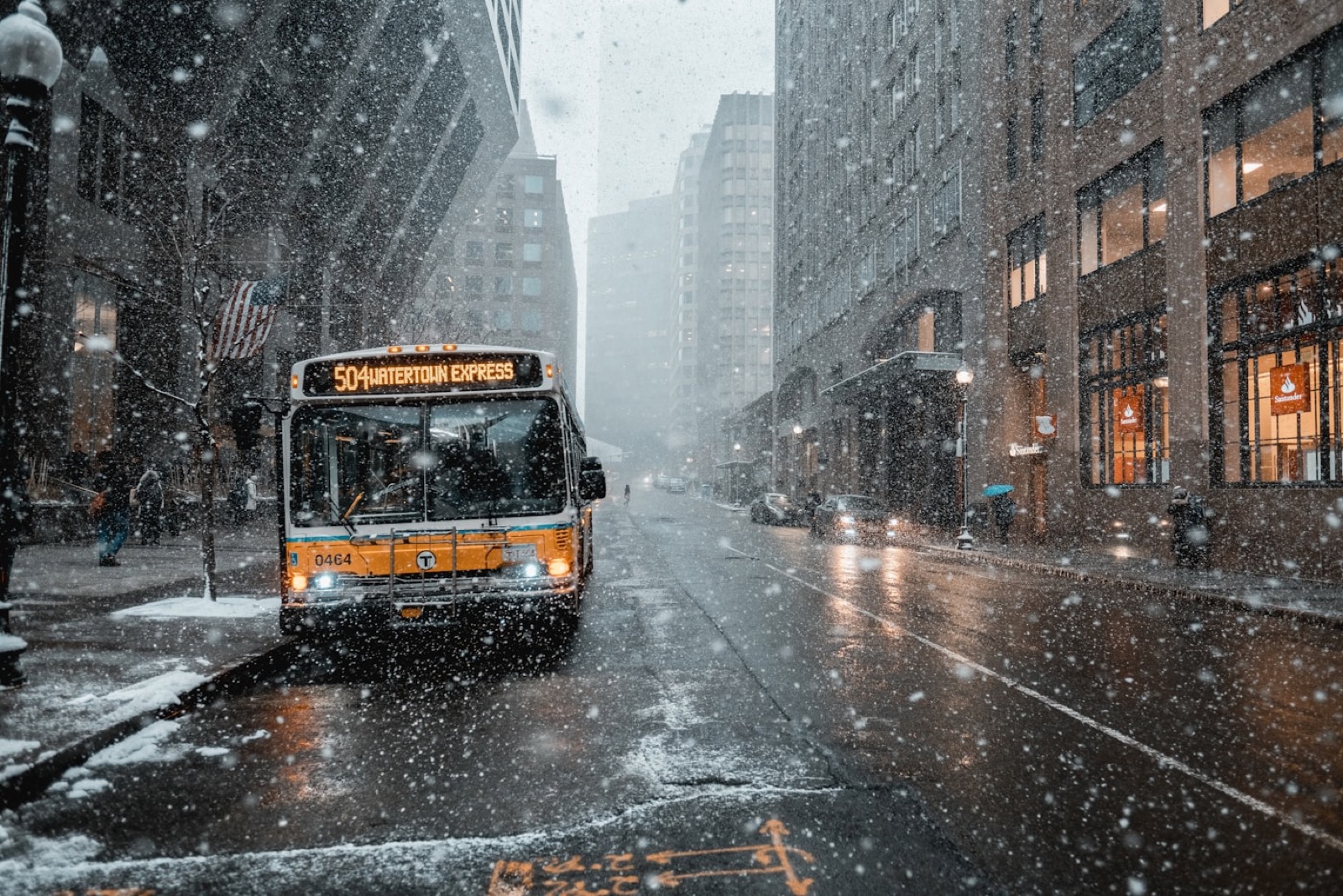 Interior resets and paint correction that feel brand new